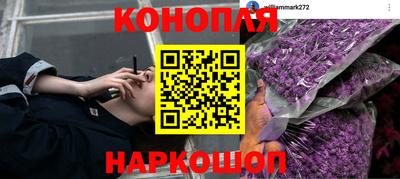 прущая мука Мариинск