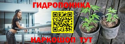 прущая мука Мариинск