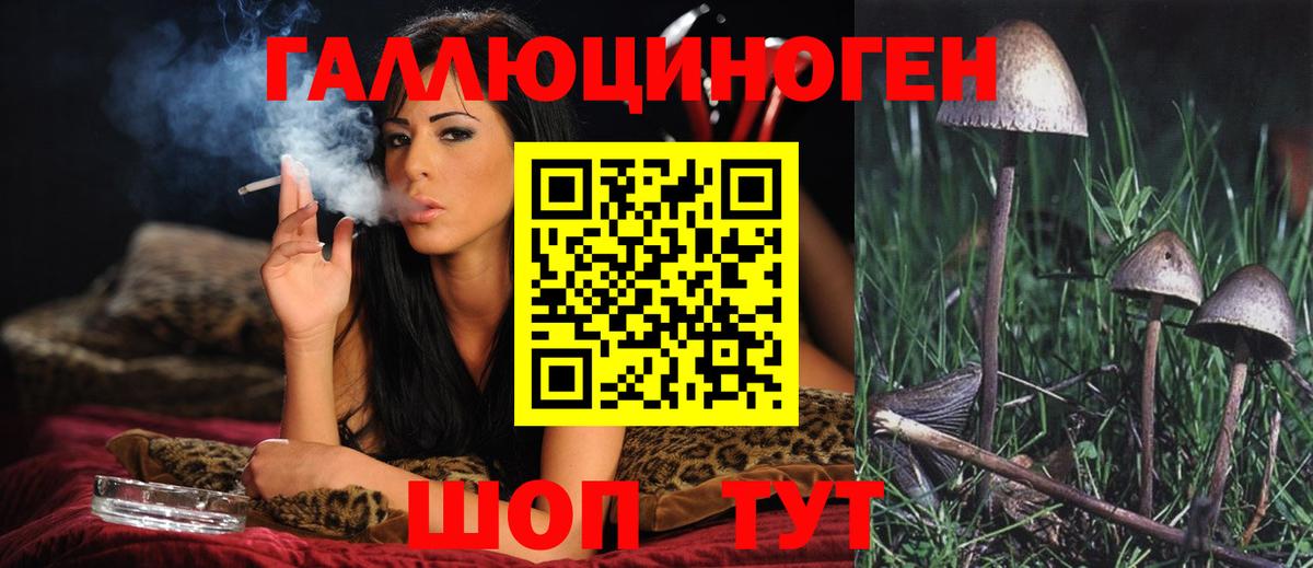 Горно-Алтайск  Псилоцибиновые грибы Psilocybe  наркотики  Вход с VPN 